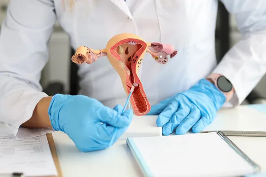 Consulta em ginecologia regenerativa em Florianópolis