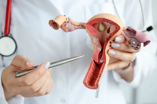 Ginecologista especialista em reposição hormonal em Florianópolis