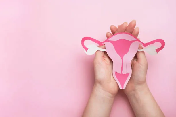 Ginecologista especialista em reposição hormonal em Santa Catarina