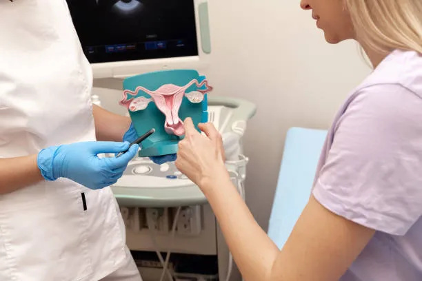 Ginecologista para menopausa