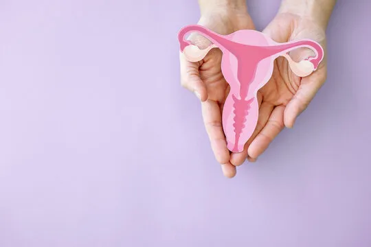 Ginecologista que trata menopausa em Florianópolis