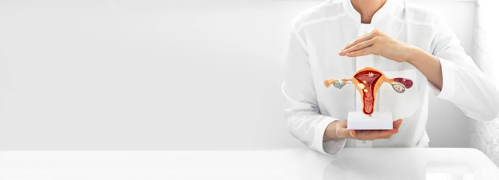Medicina integrativa com ginecologista