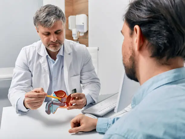 Médico urologista em Santo Amaro da Imperatriz