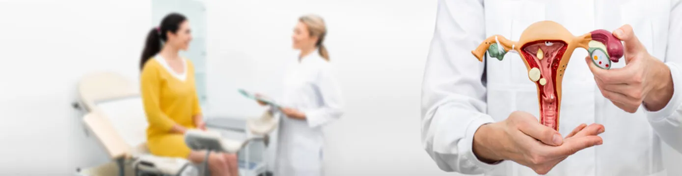 Ninfoplastia sem corte