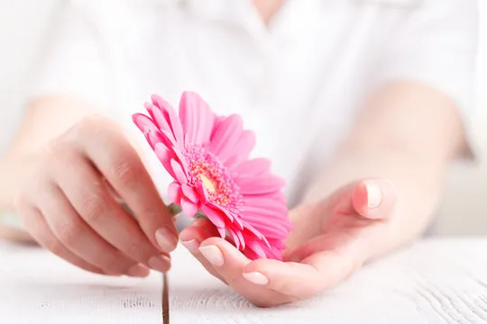 Rejuvenescimento íntimo feminino